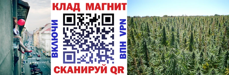 Наркотические вещества Алексеевка Альфа ПВП Cocaine МЕГА ссылка АМФ Гашиш Марихуана МЕФ