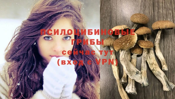 MDMA Premium VHQ Семикаракорск