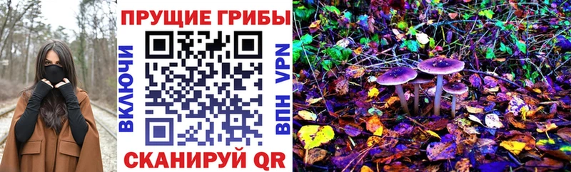 Псилоцибиновые грибы прущие грибы  наркошоп  кракен рабочий сайт  Алексеевка 